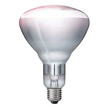 Signify GmbH (Philips) Ampoule à réflecteur infrarouge IR250CH BR125 230-250V E2