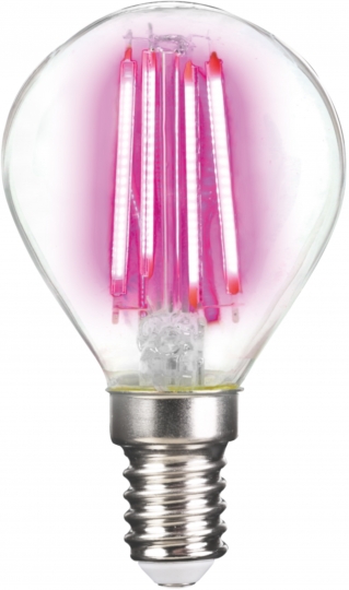 LM Deco LED Lamp Filament P45 4W-E14/Pink