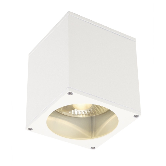 SLV Outdoor ceiling light BIG THEO, height 15 cm - white (without bulb)