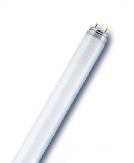 Ledvance T8 fluorescentielamp L 18 W/865 - koel wit
