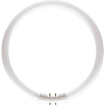 Signify GmbH (Philips) TL5-C 60W/840 - neutral white