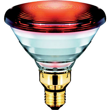 Signify GmbH (Philips) Infrarot-Reflektorlampe 50 W PAR 38E Infraphil